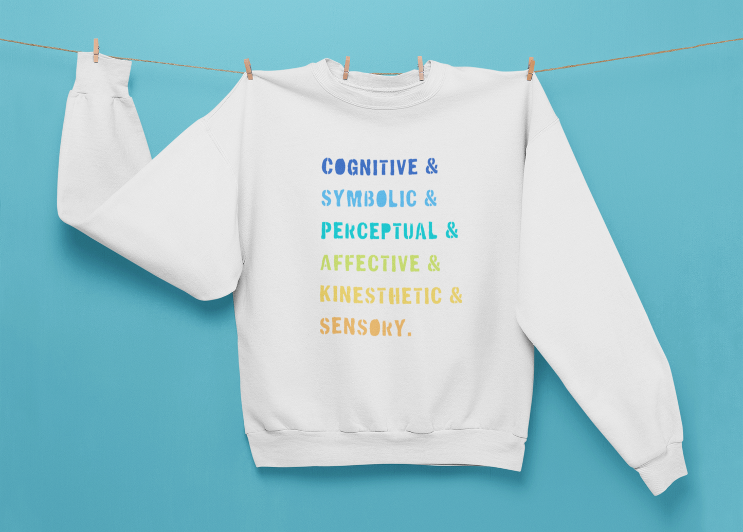 Rainbow ETC Model Sweatshirt
