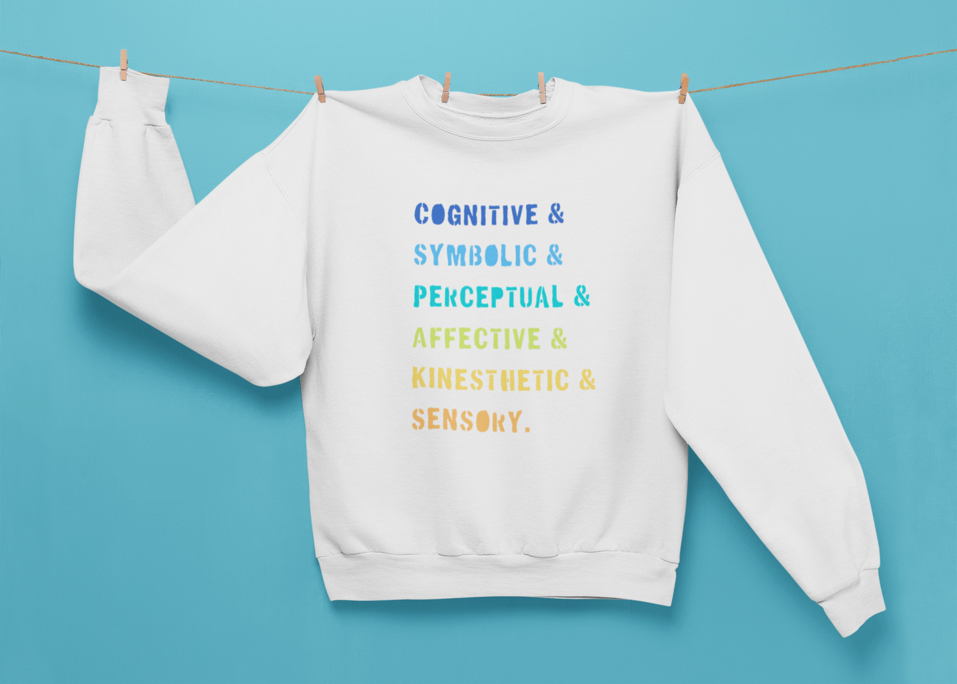 Rainbow ETC Model Sweatshirt